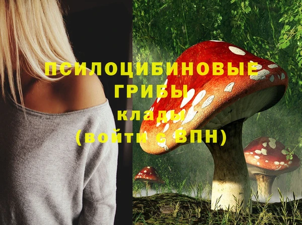 метадон Осинники