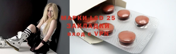 индика Осташков