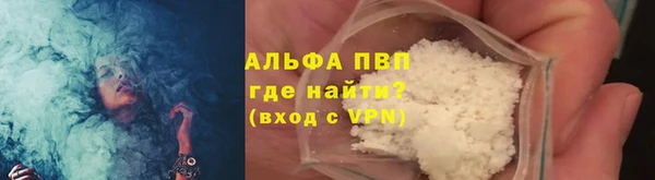 индика Осташков