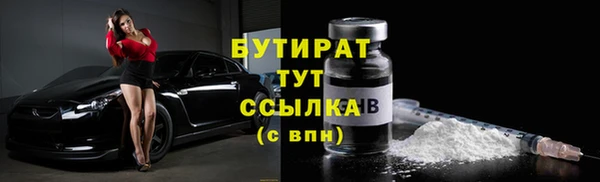 индика Осташков