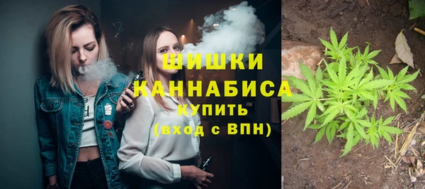 индика Остров