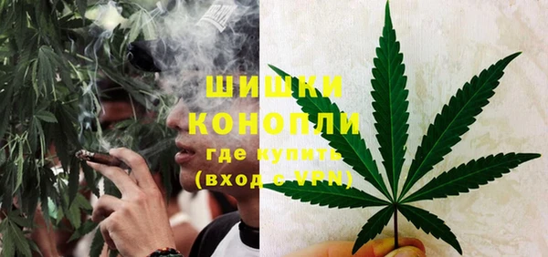 индика Остров