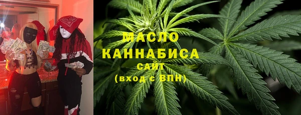 индика Осташков