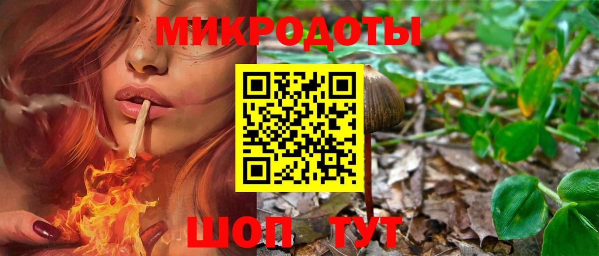 Псилоцибиновые грибы мицелий Тихорецк